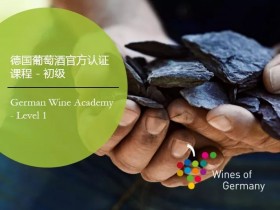 德国葡萄酒官方认证课程