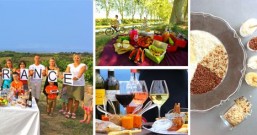 法国南部葡萄酒