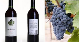 The Criolla Family Grape of Argentina