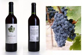 The Criolla Family Grape of Argentina