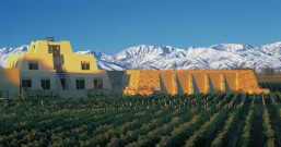 CATENA ZAPATA被评为2020年世界最受喜爱的葡萄酒品牌