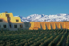 CATENA ZAPATA被评为2020年世界最受喜爱的葡萄酒品牌