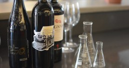 【2025葡萄酒节日大全】全年品酒指南!一键收藏喝遍全球风味!