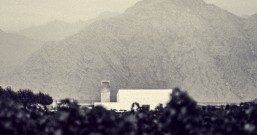 探索中国酒庄:以嘉地酒园为例