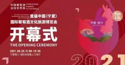 首届中国(宁夏)国际葡萄酒文化旅游博览会在银川开幕