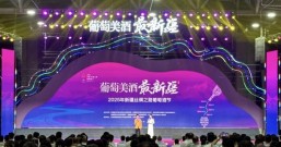 2025 新疆丝绸之路葡萄酒节盛大开幕,共促产业新发展